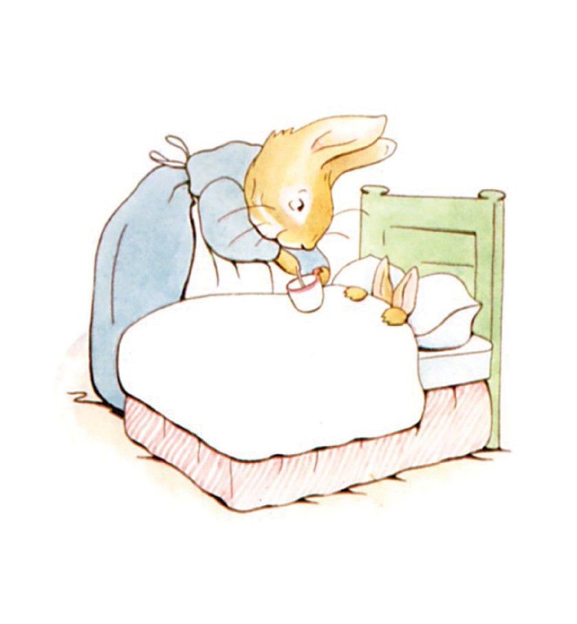 Povestea lui Peter Iepurașul - imagine 3