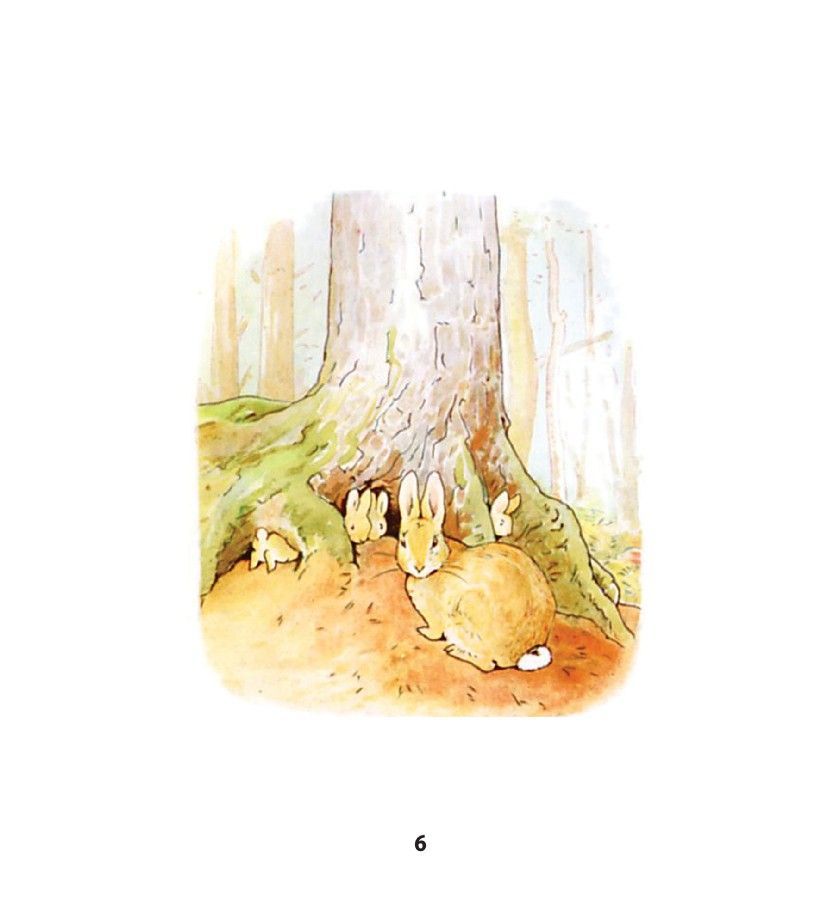 Povestea lui Peter Iepurașul - imagine 4